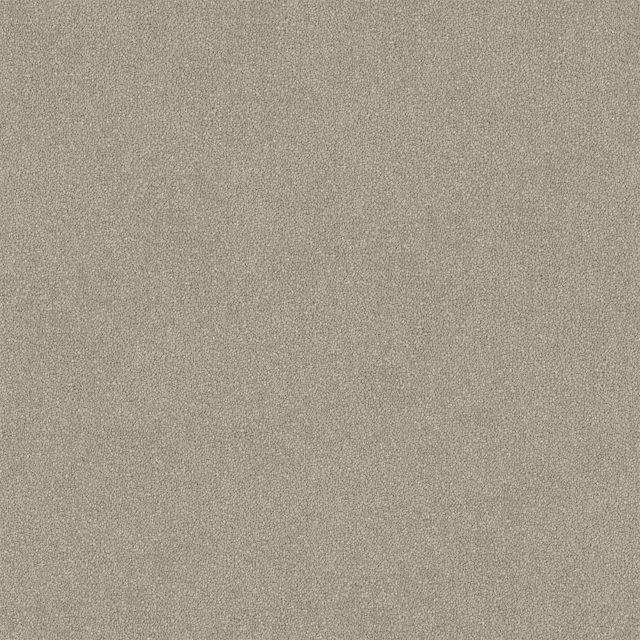 10 Light Clay Large