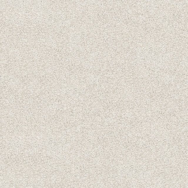 100 Soft Sand Large