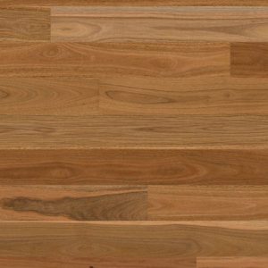 Australian Spotted Gum