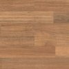 Hm Walk Matte 02 Spotted Gum 001