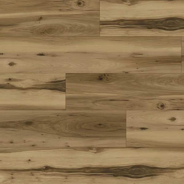 American Hickory