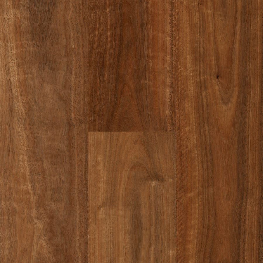 Qlay 5.0 Tamborine Mountain Spotted Gum