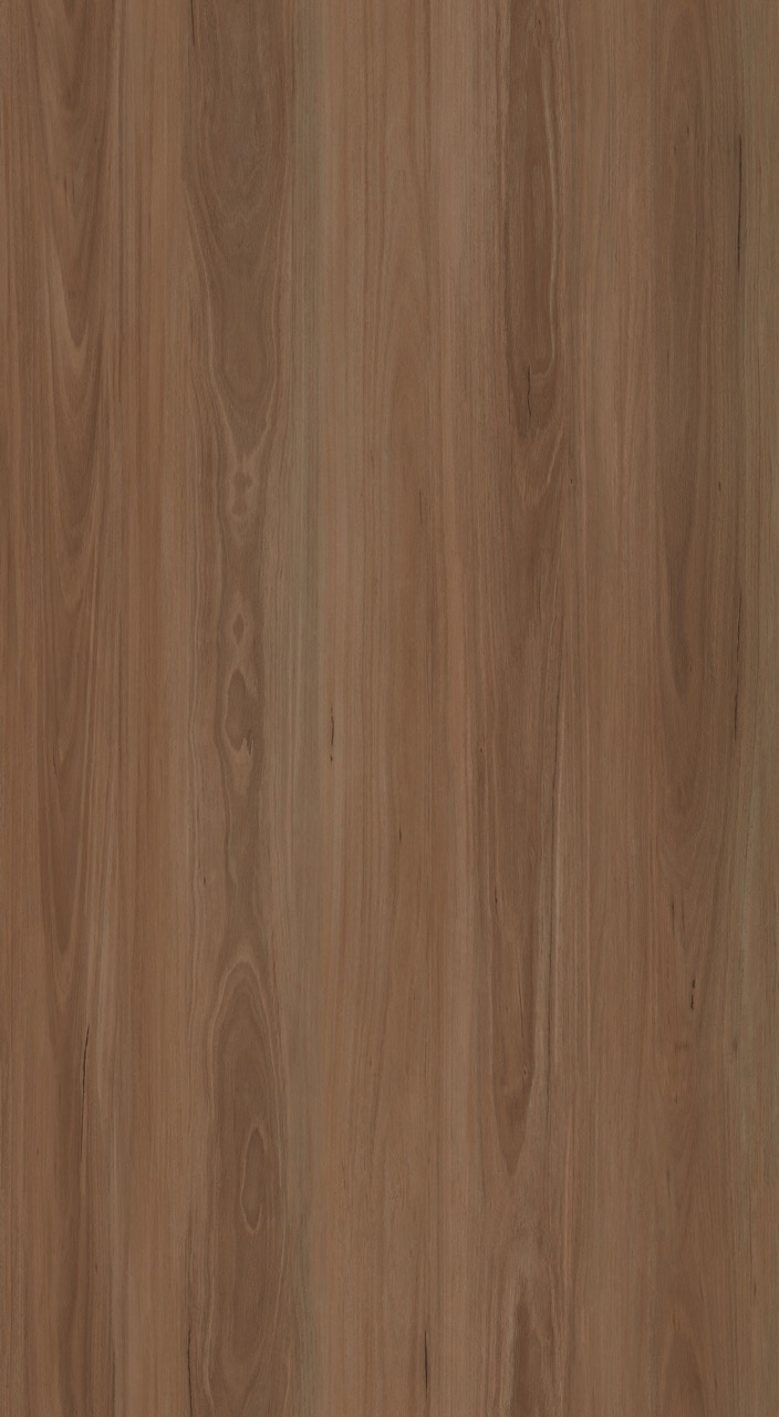 Mountain Dll1504 Mountain Spotted Gum Large