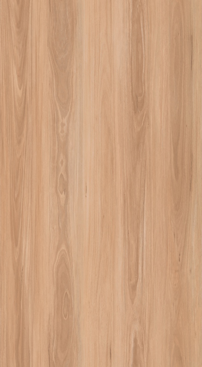 Ocean Dl4507 Coastal Blackbutt Large