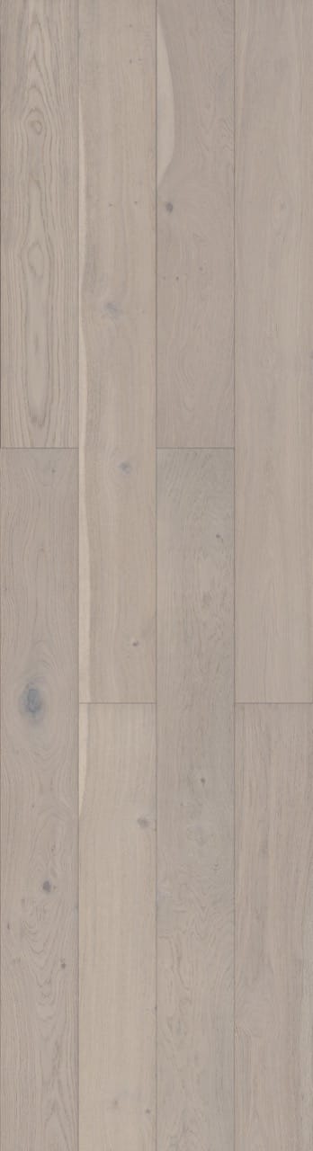 Classique Oak Sea Shell