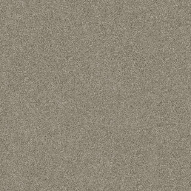 Darling Cove Grey Tint Medium