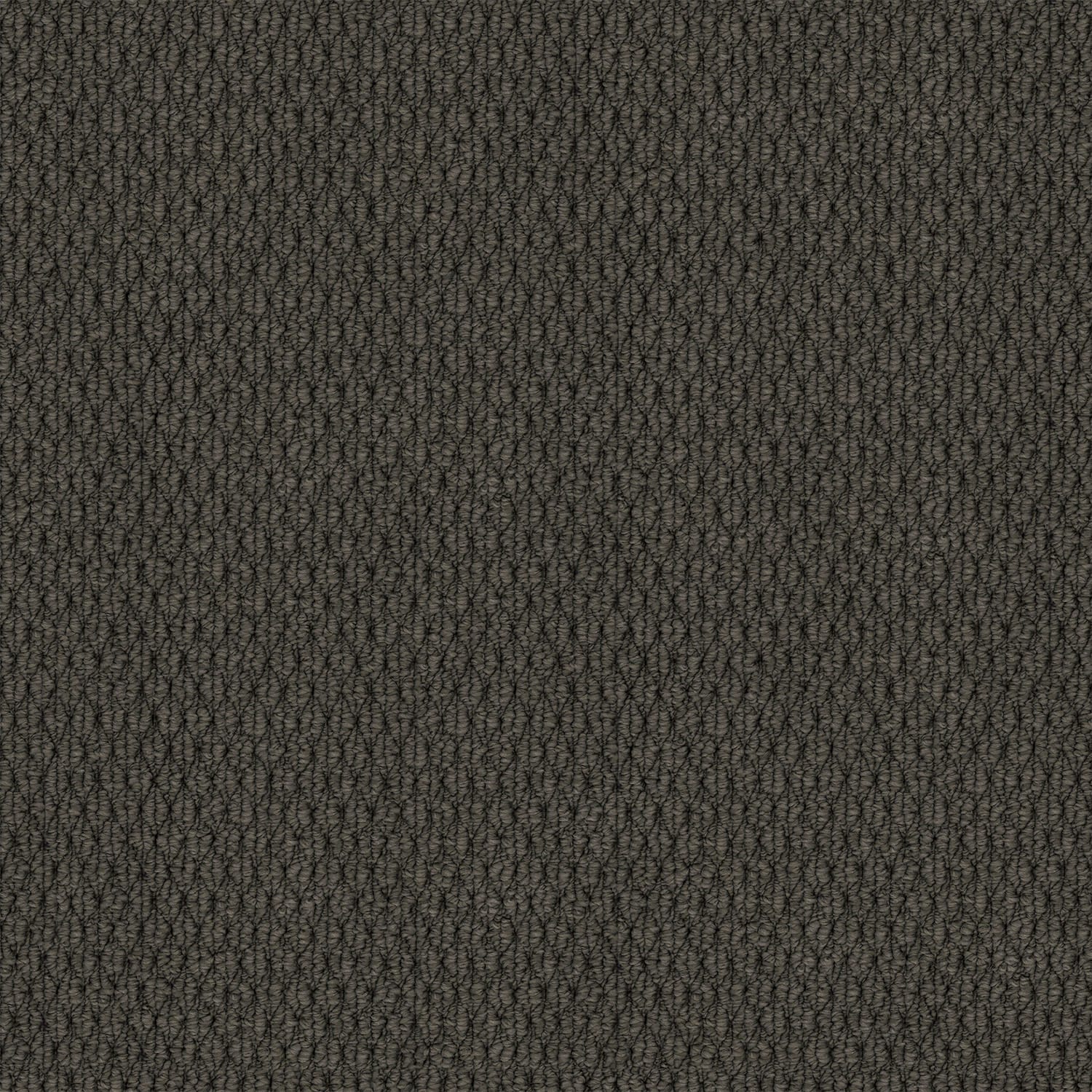 Kashmir Dark Slate