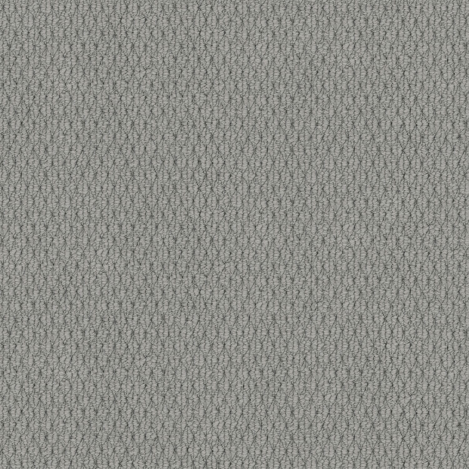 Kashmir Arctic Grey