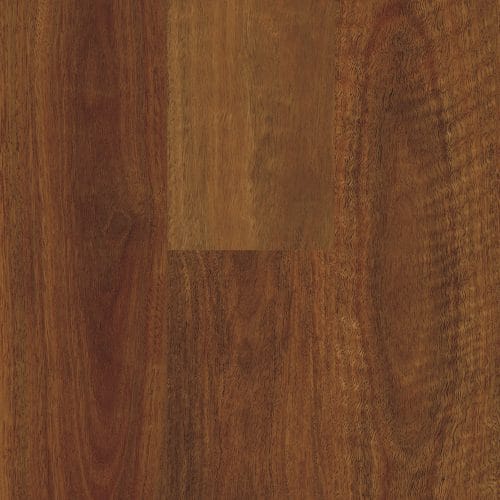 Northern Spotted Gum