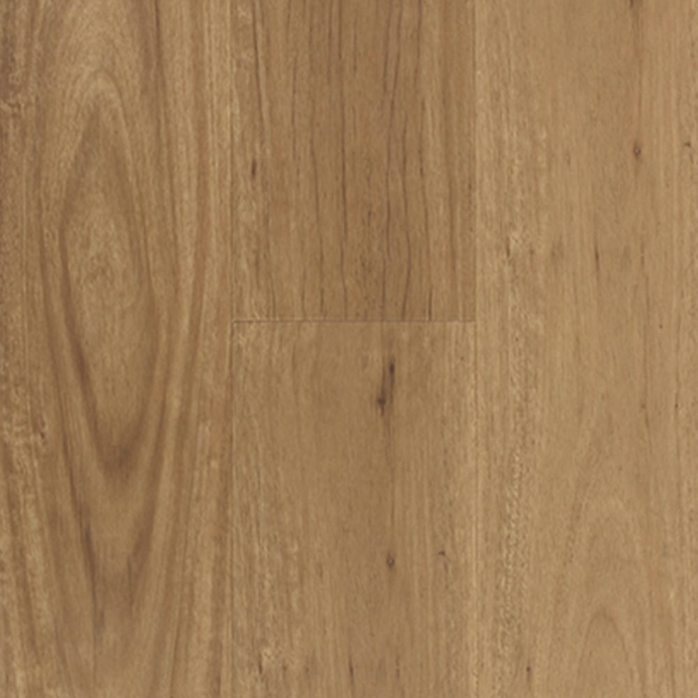 Aspire Coastal Blackbutt Australian Timber Large