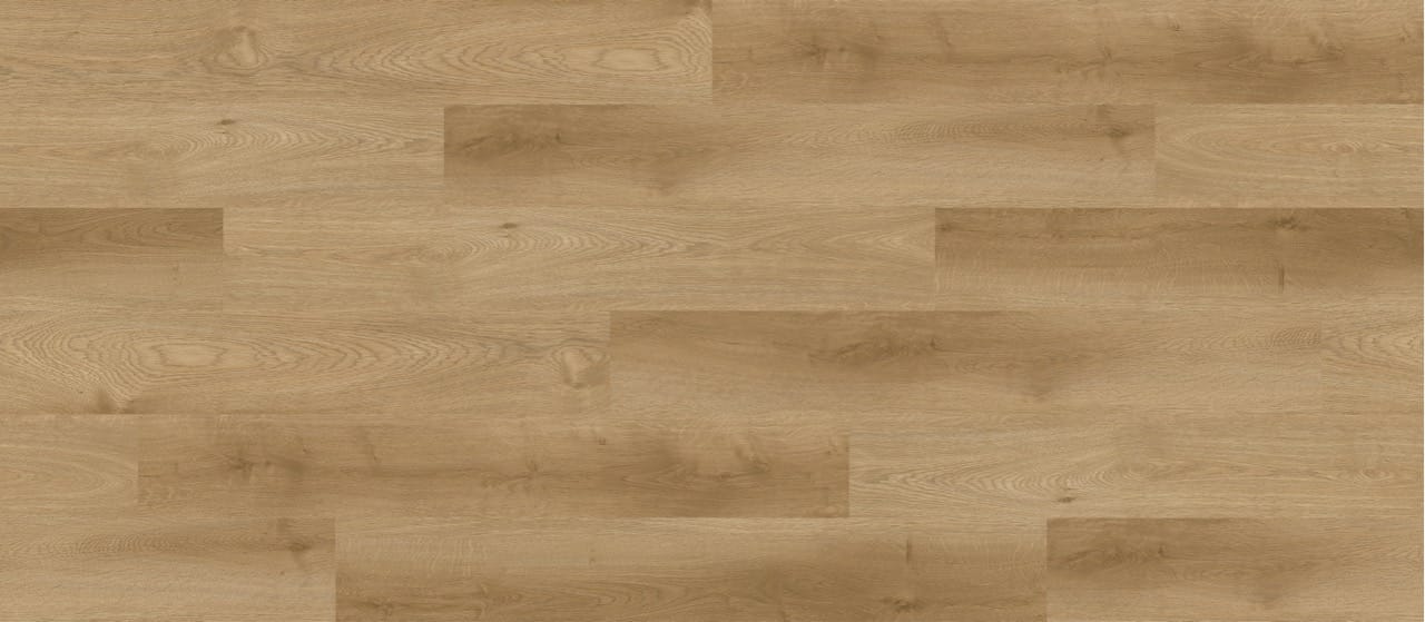 Merryland Oak 5 Large