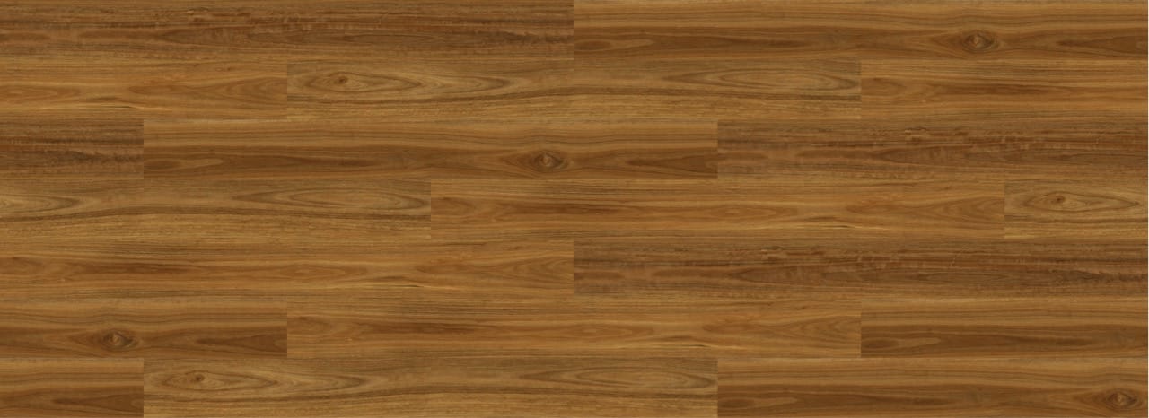 Western Spotted Gum 5 Large