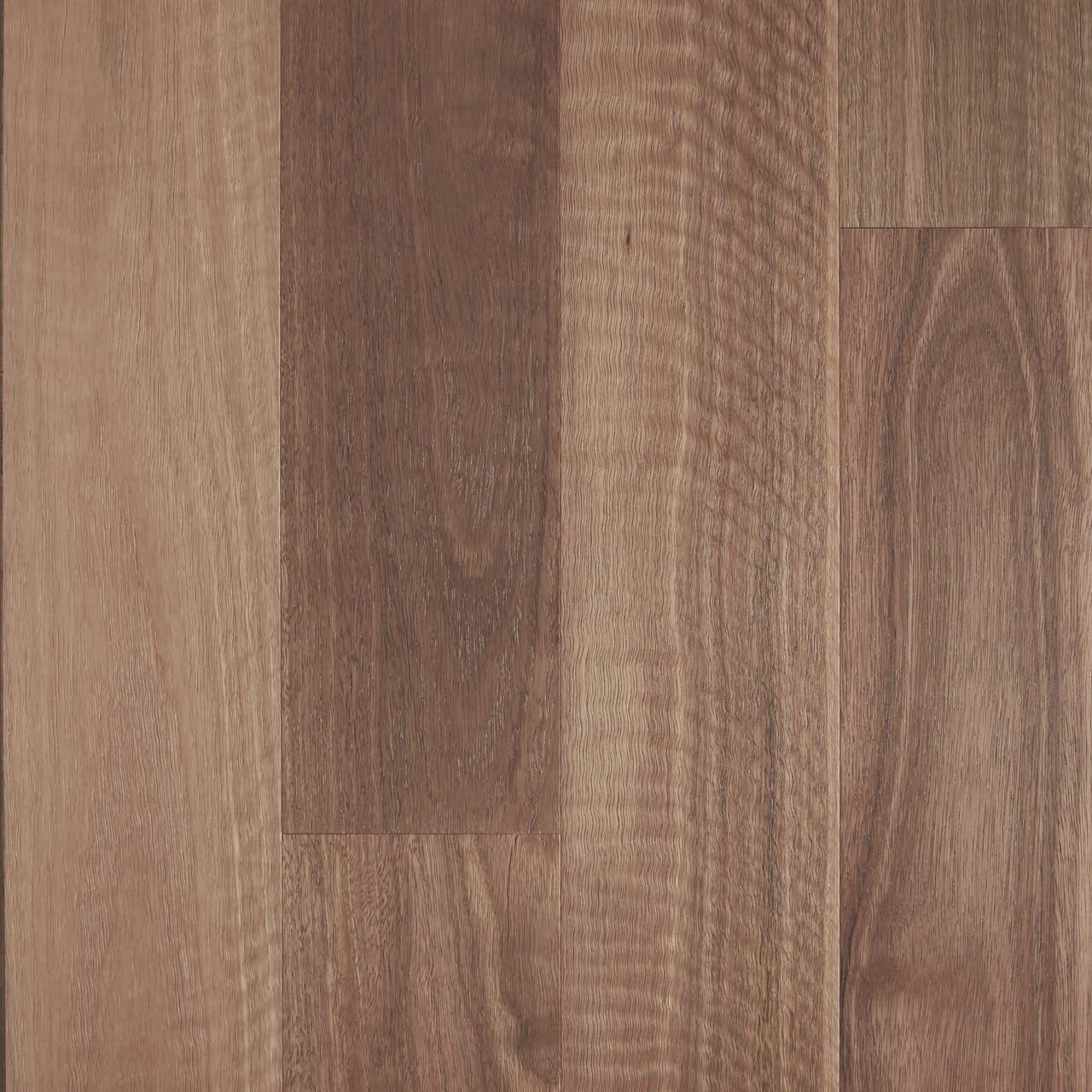 Fiddleback Spotted Gum Brushed Matte