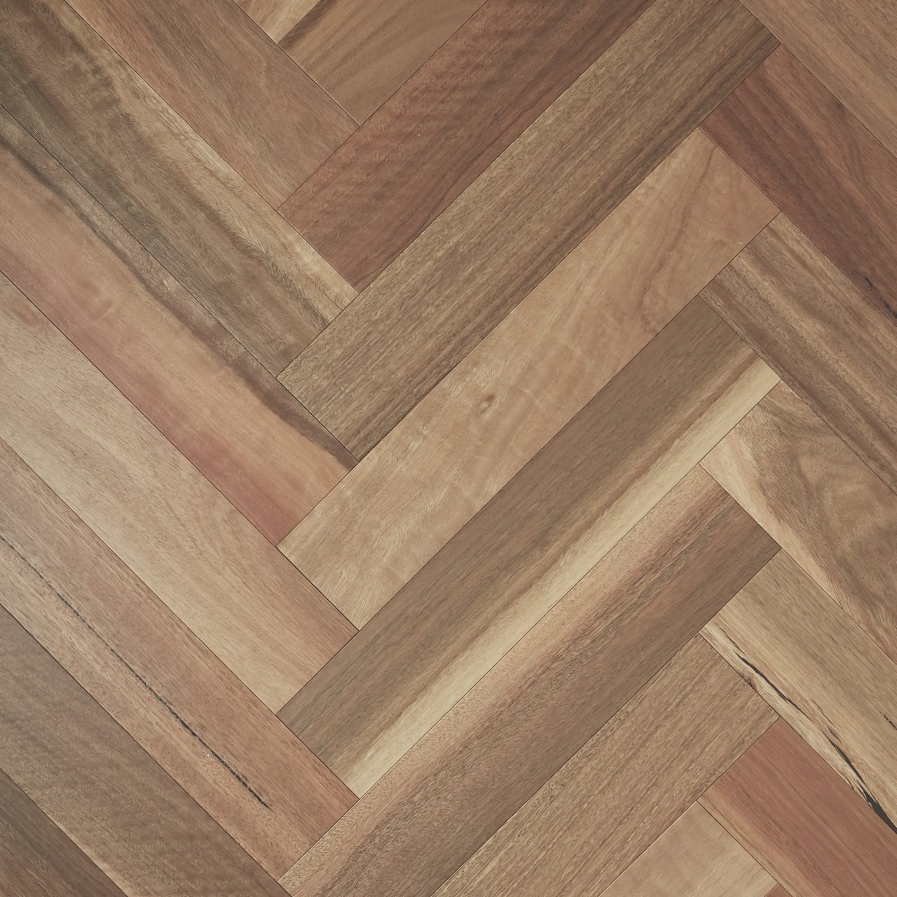 Fiddleback Spotted Gum Herringbone Brushed Matte