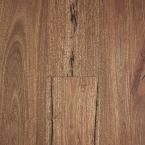 Spotted Gum Rustic Brushed Matte