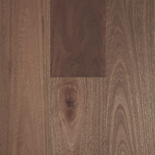 Spotted Gum Smooth Matte