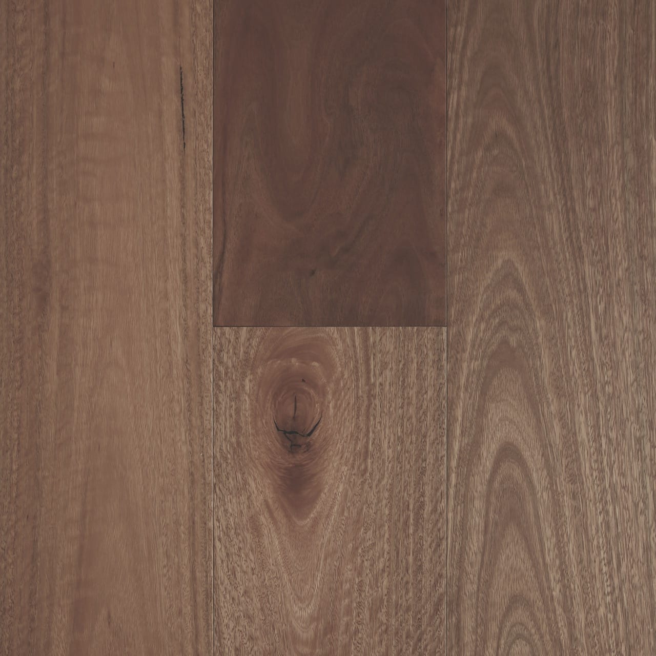 Fiddleback Spotted Gum Smooth Matte