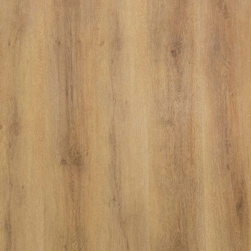 Chestnut