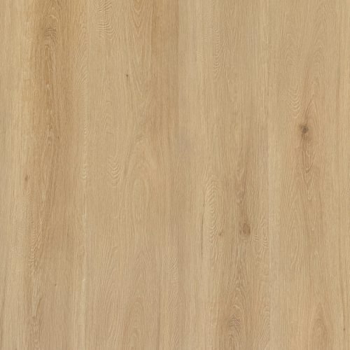 Coastal Fir