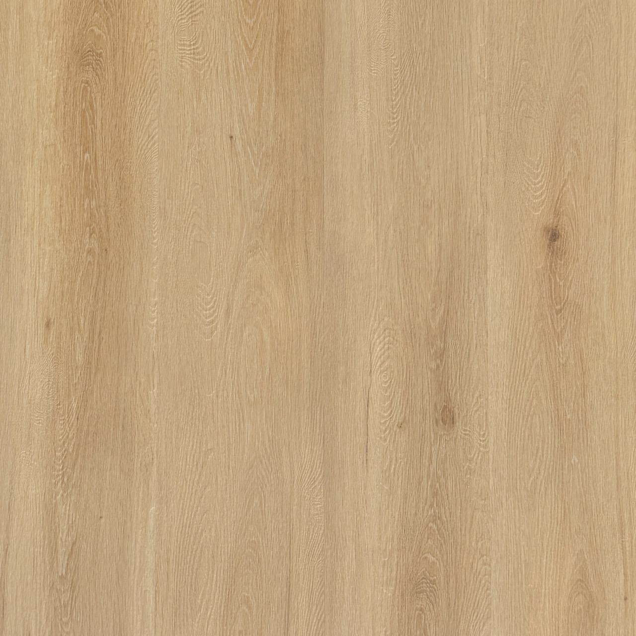 Alpine Coastal Fir Large