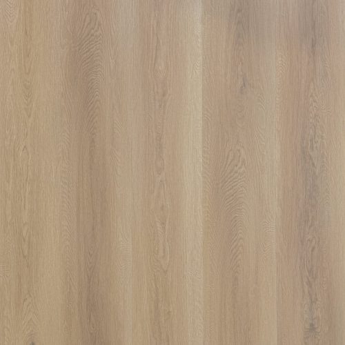 Elm