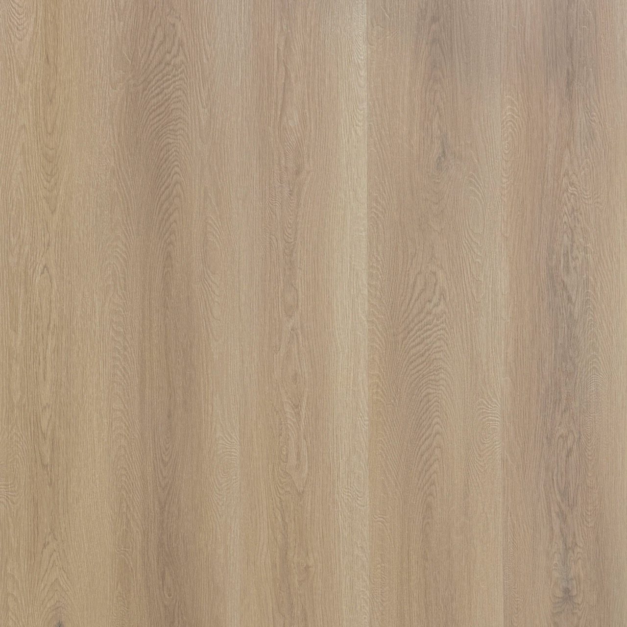 Alpine Elm Large