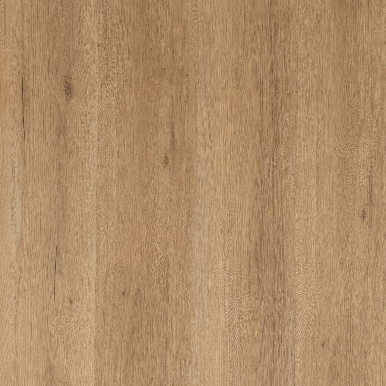 Alpine Mountain Oak Large