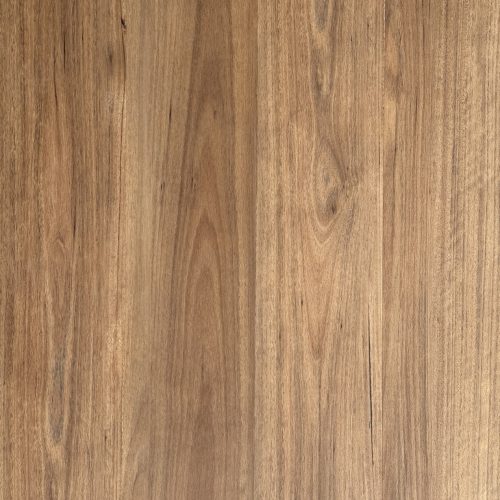 Tallowwood