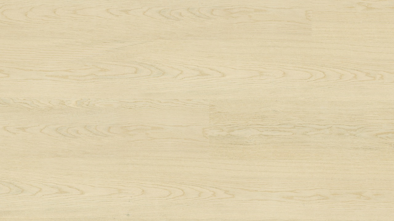 Corsica Oak Coastal Oak Large