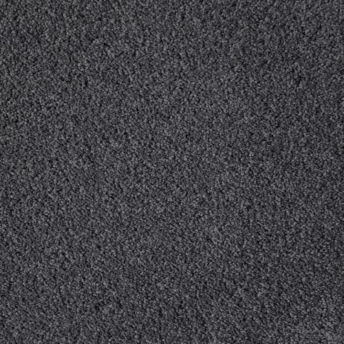 Fanciful Twist Col. Anchor Grey Pet Friendly Carpet