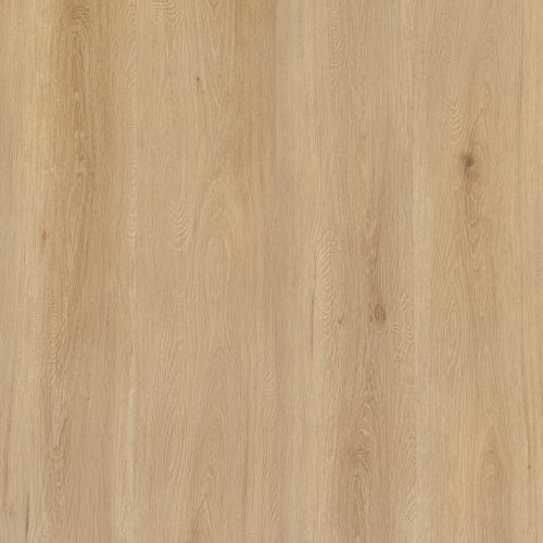 Coastal Fir