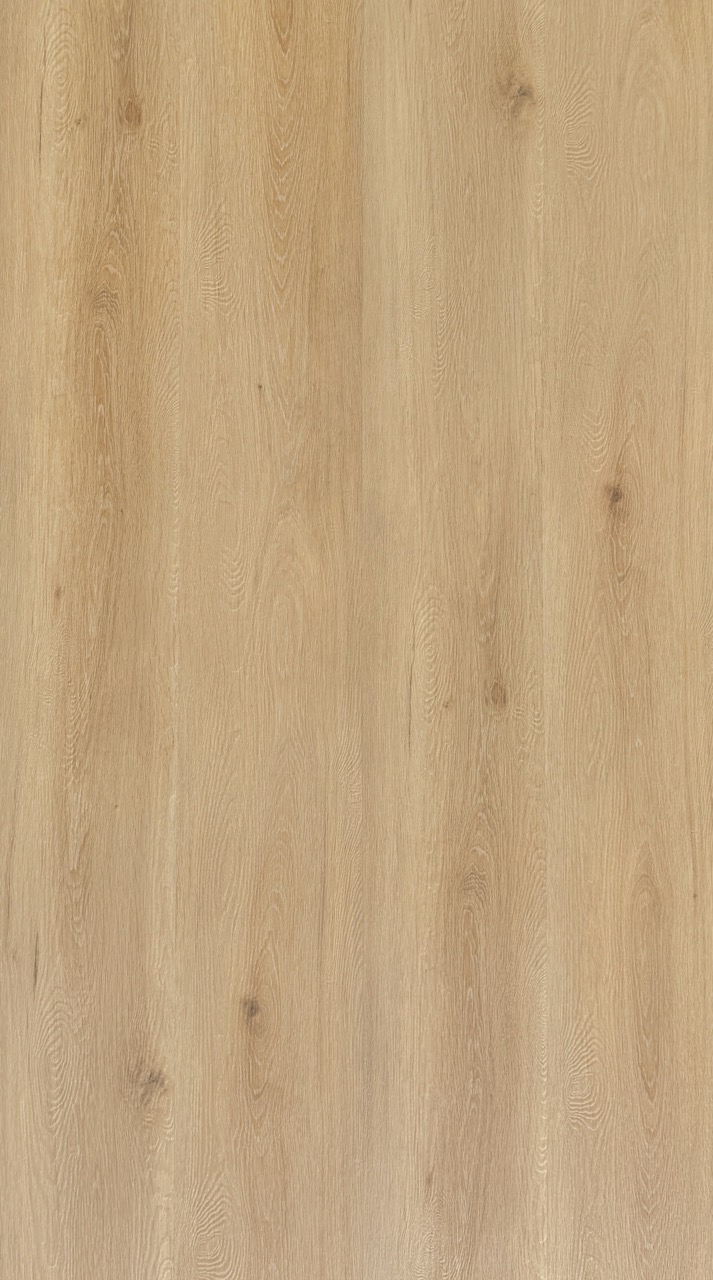 Alpine Coastal Fir Large