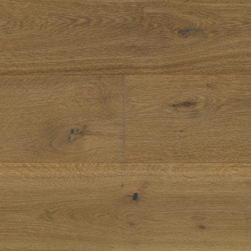 Chestnut Oak