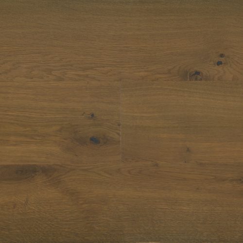 Scarlet Oak