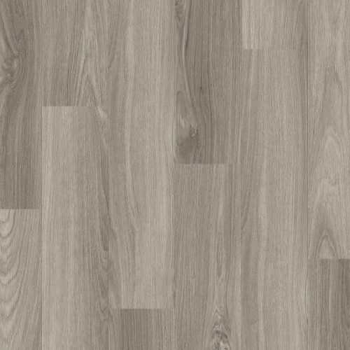Silver Grey Oak
