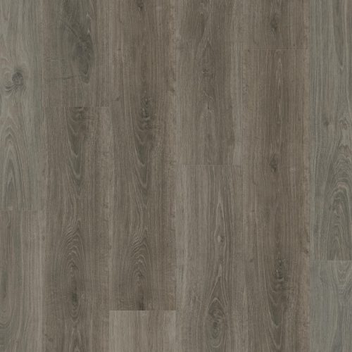 Midnight Oak