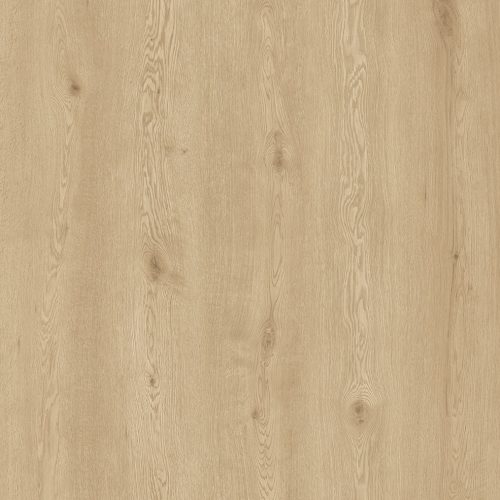 Harbour Oak