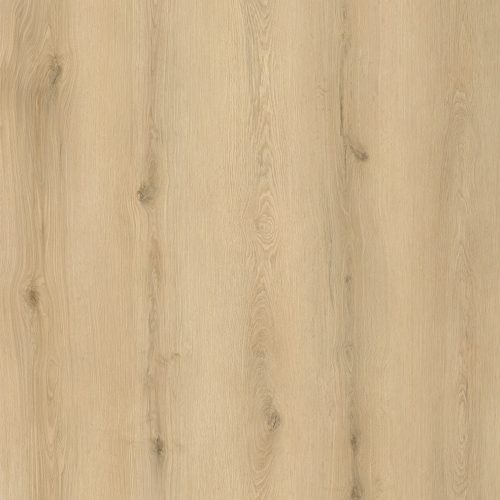 Seaside Oak