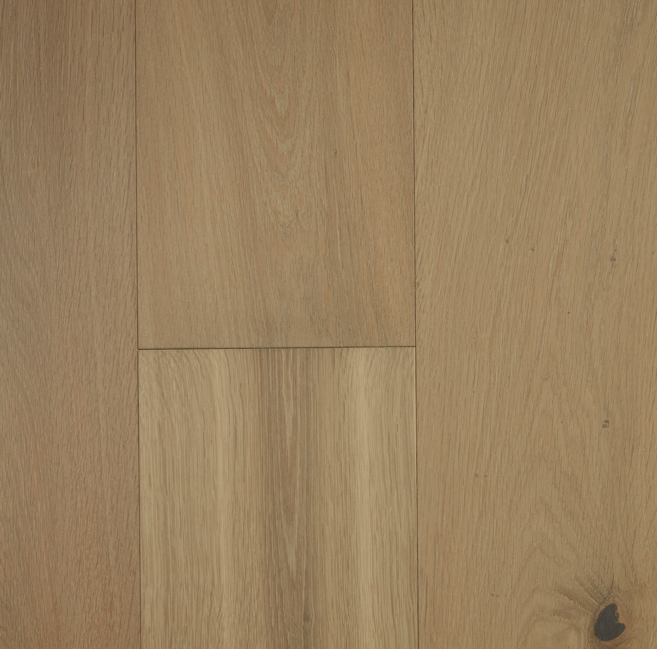 Oyster Grey Large