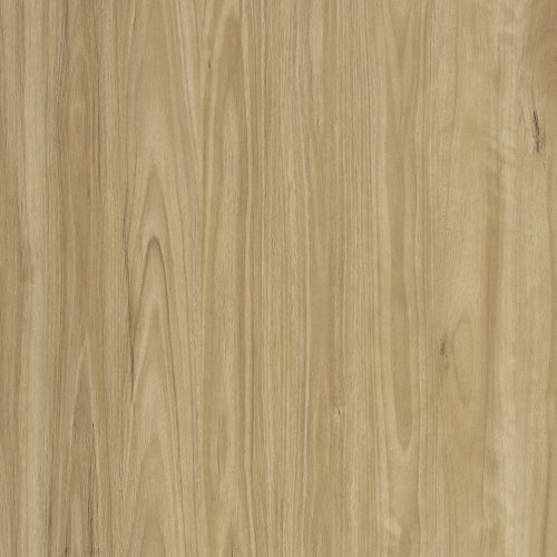 Alpine Blackbutt