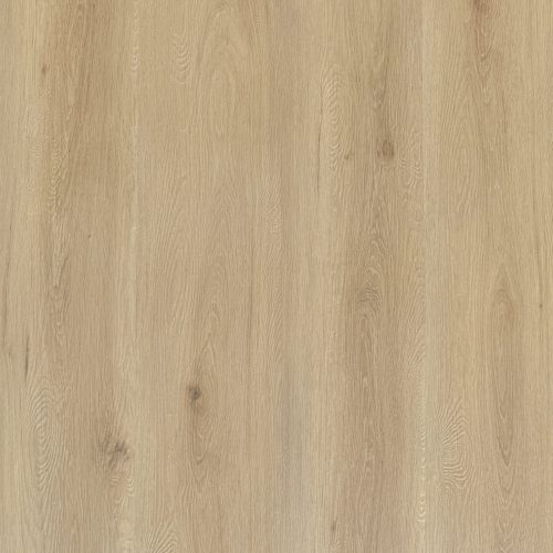 Coastal Fir