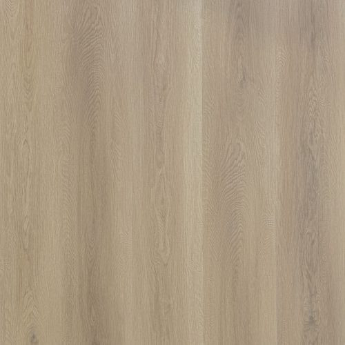 Elm