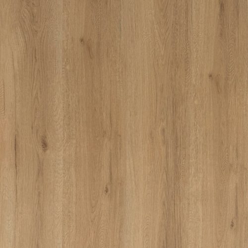 Mountain Oak