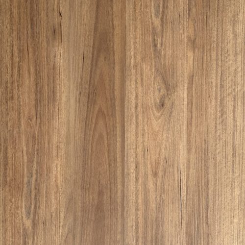 Tallowwood