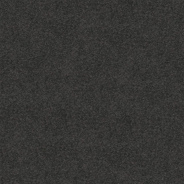 900 Warm Grey Large