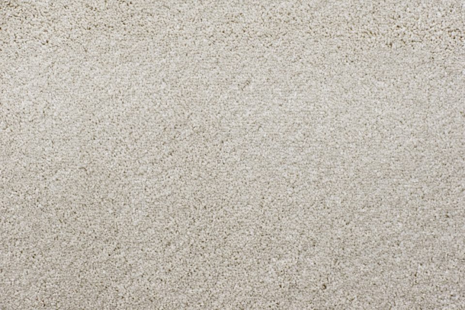Cream plush carpet available now from Beare Flooring.
