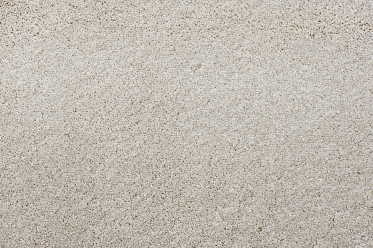 Cream plush carpet available now from Beare Flooring.