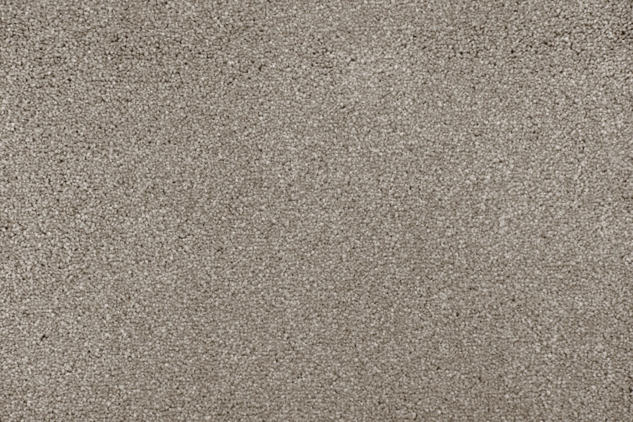 Ashton Storm Chaser Large