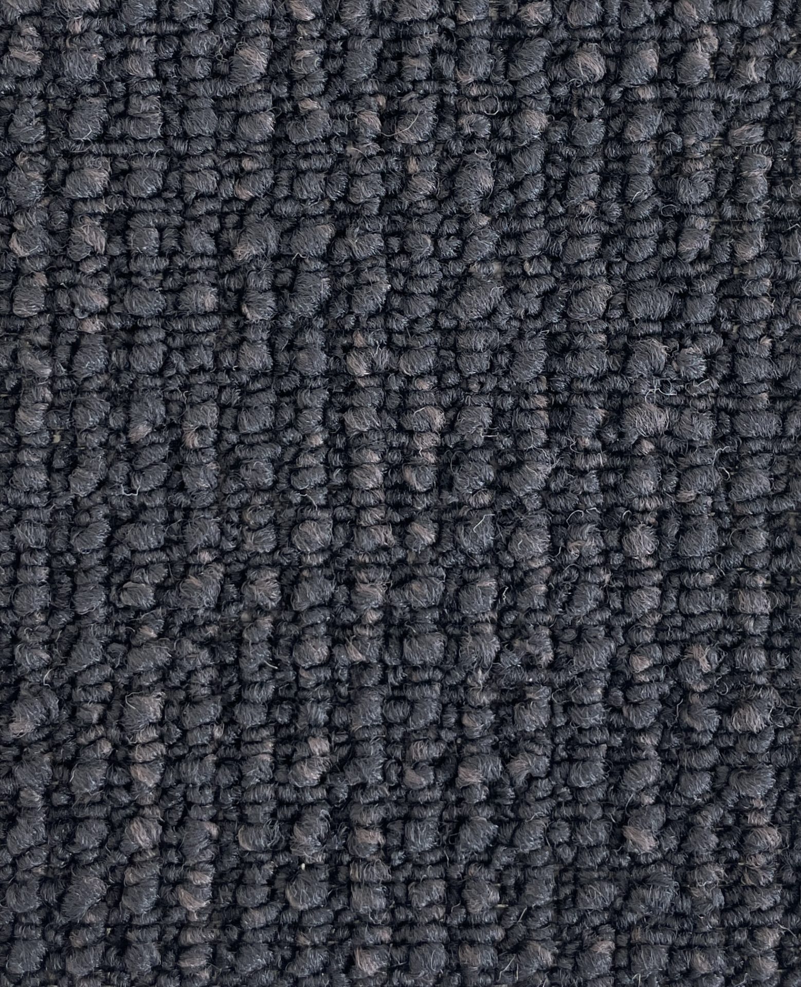 Acacia Hill Col. Archer