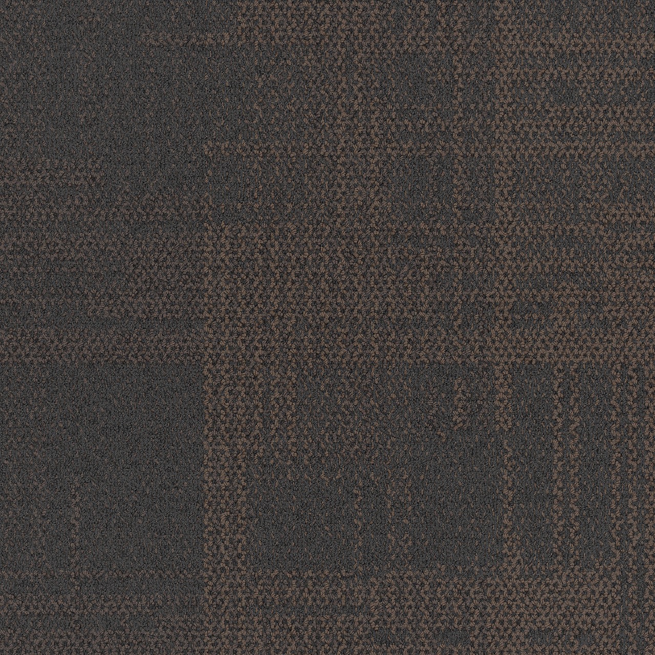 Aerial 7921 004 000 Chestnut Large